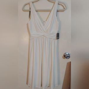 Muse Ivory NWT Beautiful Dress sz.4